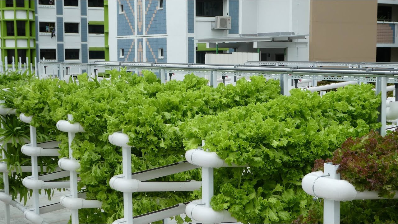 Nano Living + Urban Agriculture: Growing Green in Compact Communities